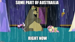 Size: 888x499 | Tagged: safe, edit, edited screencap, imported from derpibooru, screencap, angel bunny, fluttershy, harry, bear, centipede, flamingo, raccoon, rat, spider, tortoise, every little thing she does, australia, caption, fiducia compellia, flood, image macro, impact font, meme, mind control, rain, regular show, rigby, right now, text