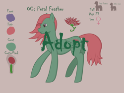 Size: 1200x900 | Tagged: safe, artist:hellsmenser, imported from derpibooru, oc, oc only, pegasus, pony, adoptable, auction, reference, reference sheet