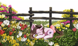 Size: 2157x1286 | Tagged: safe, alternate version, artist:erim-kawamori, imported from derpibooru, oc, oc only, oc:cindy, bird, great tit, pony, unicorn, bow, eyes closed, female, fence, flower, flower field, grass, mare, outdoors, prone, sleeping, smiling, solo, tail bow