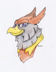 Size: 1163x1489 | Tagged: safe, artist:dilarus, deleted from derpibooru, imported from derpibooru, oc, oc only, oc:peregrine, griffon, ponyfinder, dungeons and dragons, griffon oc, pen and paper rpg, rpg, solo, traditional art