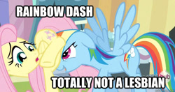 Size: 625x331 | Tagged: safe, edit, edited screencap, imported from derpibooru, screencap, fluttershy, rainbow dash, pegasus, pony, the crystal empire, butt, caption, denial, faceful of ass, female, flutterbutt, flutterdash, image macro, lesbian, mare, meme, out of context, plot, shipping fuel, spread wings, text, wingboner, wings