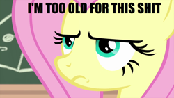 Size: 1280x720 | Tagged: safe, edit, edited screencap, imported from derpibooru, screencap, fluttershy, pony, teacher of the month (episode), spoiler:interseason shorts, caption, chalkboard, close-up, female, image macro, impact font, serious, serious face, solo, text, vulgar, wallpaper