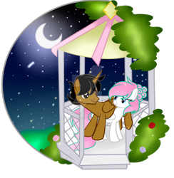 Size: 900x924 | Tagged: safe, artist:angelamusic13, edit, imported from derpibooru, oc, oc only, oc:angela music, oc:yin, alicorn, pegasus, pony, base used, deviantart watermark, female, male, mare, night, obtrusive watermark, stallion, watermark