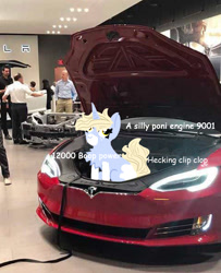 Size: 812x1000 | Tagged: safe, artist:vinny, imported from derpibooru, oc, oc:nootaz, human, pony, car, irl, irl human, meme, photo, ponies in real life, ponified, ponified animal photo, tesla, tesla model s