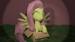 Size: 1920x1080 | Tagged: safe, artist:nebulafactory, imported from derpibooru, fluttershy, pony, 3d, blender, boop box, box, cute, flutterbox, grass, shyabetes