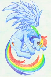 Size: 668x1000 | Tagged: safe, artist:mu-tsu, imported from derpibooru, rainbow dash, pegasus, pony, cutie mark, female, flying, long tail, looking at you, mare, open mouth, solo, spread wings, traditional art, wings