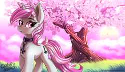 Size: 1600x928 | Tagged: safe, artist:ask-colorsound, imported from derpibooru, oc, oc only, oc:blossom, pony, unicorn, cherry blossoms, cherry tree, cross, female, flower, flower blossom, intertwined trees, inverted cross, mare, solo, tree