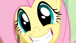 Size: 1920x1080 | Tagged: safe, imported from derpibooru, screencap, fluttershy, pony, a bird in the hoof, cute, faic, female, grin, happy, mare, smiling, solo