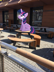 Size: 2448x3264 | Tagged: safe, artist:albertuha, imported from derpibooru, twilight sparkle, alicorn, pony, female, irl, mare, mcdonald's, photo, ponies in real life, sitting, solo, twilight sparkle (alicorn), winter