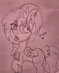Size: 1223x1513 | Tagged: safe, artist:moonlightdisney5, artist:thatonefluffs, imported from derpibooru, oc, oc only, oc:nova, pony, beanie, chest fluff, hat, piercing, solo, traditional art, unshorn fetlocks