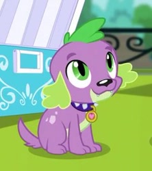 Size: 237x267 | Tagged: safe, imported from derpibooru, screencap, spike, spike the regular dog, dog, dance magic, equestria girls, spoiler:eqg specials, cropped, cute, male, paws, smiling, solo, spikabetes, spike's dog collar, tail