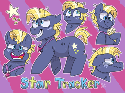 Size: 2732x2048 | Tagged: safe, artist:peanutcat62, imported from derpibooru, star tracker, earth pony, pony, once upon a zeppelin, bust, chest fluff, crying, cute, ear fluff, expressions, floppy ears, food, heart eyes, hoof hold, ice cream, male, multeity, neck fluff, portrait, profile, stallion, starry eyes, stars, teary eyes, trackerbetes, wingding eyes