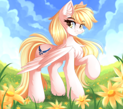 Size: 5000x4444 | Tagged: safe, artist:airiniblock, imported from derpibooru, oc, oc only, oc:noeleft, oc:star nai, pegasus, pony, air force, cheek fluff, chest fluff, cloud, ear fluff, female, flower, grass, looking at you, mare, raised hoof, rcf community, sky, smiling, solo, spread wings, standing, wings