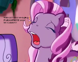 Size: 1120x896 | Tagged: safe, edit, edited screencap, imported from derpibooru, screencap, wysteria, pony, the princess promenade, angry, censored vulgarity, cropped, dialogue, g3, grawlixes, swearing, window