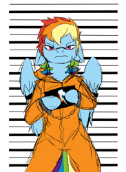 Size: 2344x3200 | Tagged: safe, artist:brainiac, imported from derpibooru, rainbow dash, semi-anthro, clothes, commission, commissioner:rainbowdash69, cuffs, female, mugshot, prison outfit, prisoner rd, solo