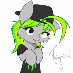 Size: 3000x3000 | Tagged: safe, artist:fajnyziomal, imported from derpibooru, oc, oc only, oc:monster energy, pony, cheek fluff, solo
