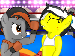 Size: 1024x768 | Tagged: safe, artist:toyminator900, imported from derpibooru, oc, oc:dusk strike, oc:uppercute, earth pony, pegasus, pony, bipedal, boxing, boxing gloves, boxing ring, clothes, knockout, midriff, sports, sports bra, uppercut