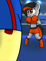 Size: 774x1032 | Tagged: safe, artist:toyminator900, imported from derpibooru, oc, oc:dusk strike, oc:uppercute, pegasus, pony, bipedal, boxing, boxing gloves, boxing ring, clothes, midriff, shorts, sports, sports bra, sports shorts