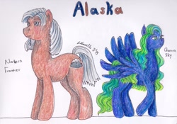 Size: 1155x810 | Tagged: safe, artist:pristine1281, imported from derpibooru, part of a set, oc, oc:aurora sky, oc:northern forntier, earth pony, pegasus, pony, alaska, female, male, mare, part of a series, stallion, traditional art