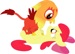 Size: 3573x2570 | Tagged: safe, artist:porygon2z, imported from derpibooru, apple bloom, oc, oc:heatwave, earth pony, griffon, pony, chickub, female, filly, lying down, on back, pounce