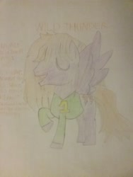 Size: 1944x2592 | Tagged: safe, artist:jaredking179, artist:jaredking779, imported from derpibooru, oc, oc only, oc:wild thunder, pegasus, pony, clothes, eyes closed, male, raised hoof, stallion, traditional art