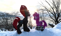 Size: 2048x1217 | Tagged: safe, artist:hihin1993, imported from derpibooru, berry punch, berryshine, tempest shadow, pony, clothes, crepuscular rays, irl, japan, photo, plushie, snow, socks, striped socks