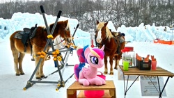 Size: 2048x1152 | Tagged: safe, artist:hihin1993, imported from derpibooru, princess cadance, horse, pony, horse-pony interaction, irl, irl horse, japan, photo, plushie, snow, solo, teen princess cadance