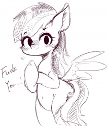 Size: 1348x1595 | Tagged: safe, artist:91o42, imported from derpibooru, rainbow dash, pegasus, pony, butt wings, female, fuck you, middle finger, monochrome, simple background, sketch, solo, vulgar, white background, wings