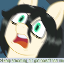 Size: 706x704 | Tagged: safe, artist:scraggleman, imported from derpibooru, oc, oc:floor bored, earth pony, pony, 4chan, caption, greentext, image macro, meme, motion blur, screaming, text