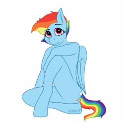 Size: 4000x4000 | Tagged: safe, artist:wumbl3, deleted from derpibooru, derpibooru exclusive, imported from derpibooru, rainbow dash, anthro, pegasus, cutie mark, female, looking at you, solo