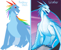 Size: 1272x1051 | Tagged: artist needed, safe, imported from derpibooru, rainbow dash, dragon, claws, comparison, dragonified, rainbow dragon, species swap, spikes, wings of fire (book series), winter