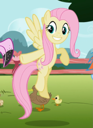 Size: 535x734 | Tagged: safe, imported from derpibooru, screencap, fluttershy, duck, pegasus, pony, may the best pet win, cropped, female, flying, mare, pointing, raised hoof, smiling, solo focus, spread wings, teeth, wings