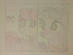 Size: 2592x1944 | Tagged: safe, artist:jerryakira80, imported from derpibooru, oc, oc only, oc:strawberry moon, oc:sweetie rose, earth pony, pegasus, pony, female, mare, traditional art