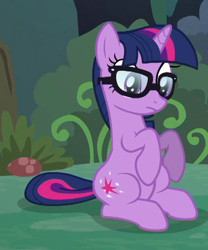 Size: 636x765 | Tagged: safe, imported from derpibooru, screencap, sci-twi, twilight sparkle, pony, unicorn, equestria girls, equestria girls series, spring breakdown, spoiler:eqg series (season 2), cropped, cutie mark, equestria girls ponified, female, glasses, mare, ponified, sitting, solo, unicorn sci-twi