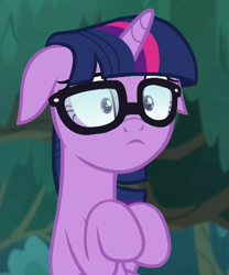 Size: 759x911 | Tagged: safe, imported from derpibooru, screencap, sci-twi, twilight sparkle, pony, unicorn, equestria girls, equestria girls series, spring breakdown, spoiler:eqg series (season 2), cropped, cute, equestria girls ponified, female, floppy ears, glasses, ponified, solo, twiabetes, unicorn sci-twi