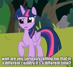 Size: 944x864 | Tagged: safe, edit, edited screencap, imported from derpibooru, screencap, twilight sparkle, alicorn, pony, non-compete clause, caption, confused, cropped, female, forest, horn, image macro, mare, raised hoof, solo, text, time zone, twilight sparkle (alicorn), wings