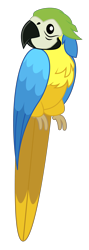 Size: 1451x4096 | Tagged: safe, artist:amarthgul, imported from derpibooru, bird, blue-and-yellow macaw, macaw, parrot, equestria girls, equestria girls series, spring breakdown, spoiler:eqg series (season 2), ambiguous gender, animal, show accurate, simple background, solo, transparent background, vector