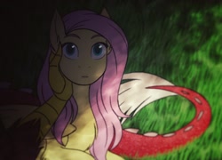 Size: 1482x1070 | Tagged: safe, artist:tamersworld, imported from derpibooru, discord, fluttershy, pegasus, pony, cute, discoshy, ear fluff, female, male, male pov, mare, offscreen character, pov, shipping, shyabetes, straight