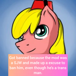 Size: 1024x1024 | Tagged: artist needed, safe, deleted from derpibooru, edit, editor:theredbaronv2, imported from derpibooru, oc, oc only, oc:mal hearts, banned, bust, fez, hat, headcanon, hilarious in hindsight, male, op is a duck, portrait, social justice warrior, stallion, trans male, trans rights, trans stallion, transgender