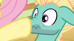 Size: 1920x1080 | Tagged: safe, imported from derpibooru, screencap, fluttershy, zephyr breeze, pegasus, pony, flutter brutter, boop, close-up, scrunchy face