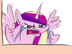 Size: 659x493 | Tagged: safe, artist:jargon scott, imported from derpibooru, princess cadance, alicorn, pony, adorable distress, angry, crying, cute, cutedance, fangs, female, flailing, flapping, frown, glare, madorable, mare, no pupils, ocular gushers, open mouth, princess sadance, reeee, sad, sadorable, simple background, solo, spread wings, tears of anger, teary eyes, that pony sure does love pizza, underhoof, white background, window, wings