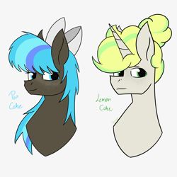 Size: 2048x2048 | Tagged: safe, artist:dyonys, imported from derpibooru, oc, oc only, oc:lemon cake, oc:pop cake, earth pony, pony, unicorn, bow, bust, female, freckles, male, mare, stallion