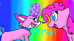 Size: 1320x745 | Tagged: safe, artist:askqueenchrysalisxx, imported from derpibooru, pinkie pie, cat, pony, catified, crossover, deviantart muro, lego, species swap, the lego movie, unikitty