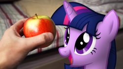Size: 1280x720 | Tagged: safe, artist:stormxf3, imported from derpibooru, twilight sparkle, alicorn, pony, twilight's apple, the ticket master, apple, blanket, female, food, irl, photo, ponies in real life, smiling, solo, youtube link