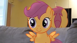 Size: 607x344 | Tagged: safe, imported from derpibooru, scootaloo, pony, couch, irl, mirror, photo, ponies in real life, smiling, solo, wings