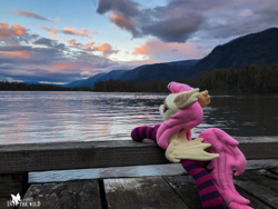 Size: 1920x1441 | Tagged: safe, artist:natureshy, artist:p0w3rporco, imported from derpibooru, fluttershy, bat pony, pony, bat ponified, canyon, clothes, equestria: into the wild, flutterbat, gorge, irl, mountain, mountain range, photo, plushie, ponies around the world, race swap, river, socks, solo, striped socks, sunset, washington, water