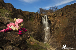 Size: 1500x1000 | Tagged: safe, artist:natureshy, artist:p0w3rporco, imported from derpibooru, fluttershy, bat pony, pony, bat ponified, clothes, equestria: into the wild, flutterbat, irl, photo, plushie, ponies around the world, race swap, socks, solo, striped socks, waterfall