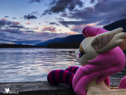 Size: 3877x2908 | Tagged: safe, artist:natureshy, artist:p0w3rporco, imported from derpibooru, fluttershy, bat pony, pony, bat ponified, bedroom eyes, canyon, clothes, female, flutterbat, gorge, mountain, photo, plushie, ponies around the world, race swap, river, socks, solo, striped socks, sunset, water