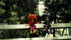 Size: 2560x1440 | Tagged: safe, imported from derpibooru, rarity, sunset shimmer, equestria girls, changi airport, doll, female, hsbc rain vortex, irl, photo, singapore, toy, tree, waterfall