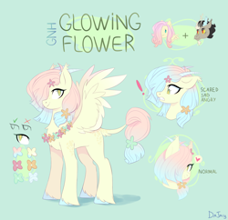 Size: 3104x3000 | Tagged: safe, artist:darlyjay, imported from derpibooru, discord, fluttershy, oc, oc:glowing flower, hybrid, female, interspecies offspring, offspring, parent:discord, parent:fluttershy, parents:discoshy, reference sheet